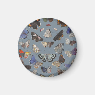 Butterflies, 1842 magnet