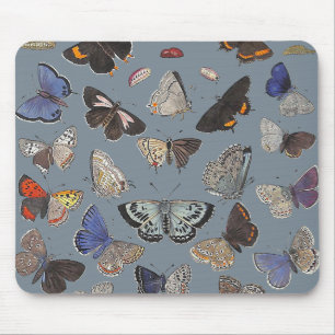 Butterflies, 1842 mouse pad
