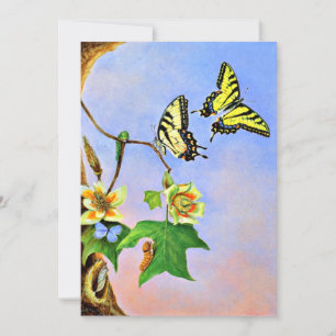 Butterflies, 1878 painting card