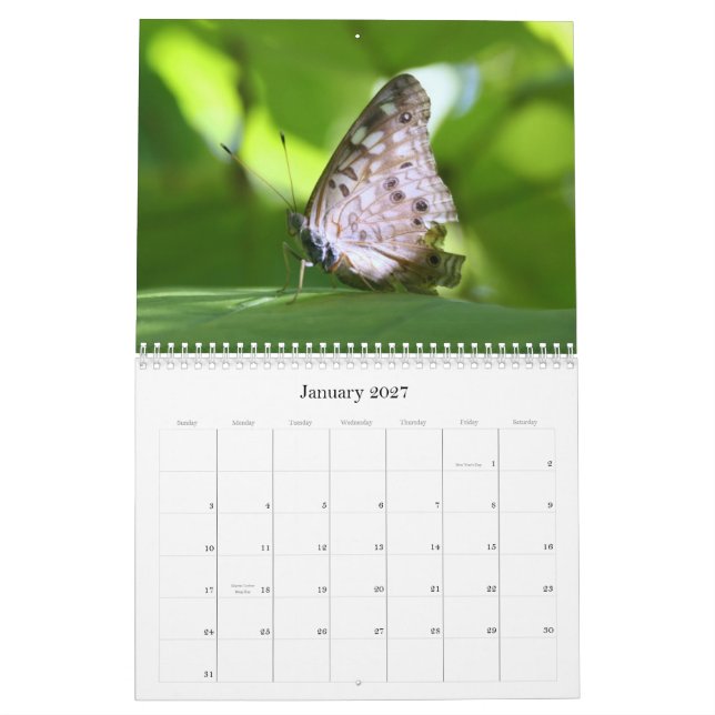 Butterflies 2011 Calendar (Jan 2027)