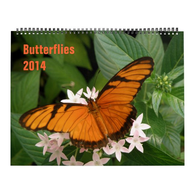 Butterflies 2014 Calendar (Cover)
