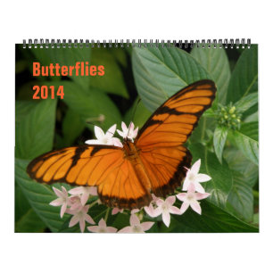 Butterflies 2014 Calendar