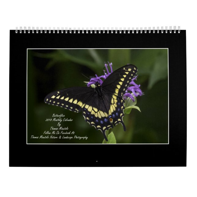 Butterflies 2018 Monthly Calendar By Tom Minutolo (Back)
