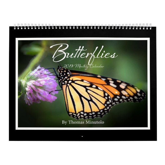 Butterflies 2019 Monthly Calendar By Tom Minutolo (Cover)
