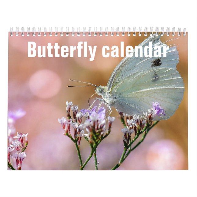 Butterflies  2023 calendar (Cover)