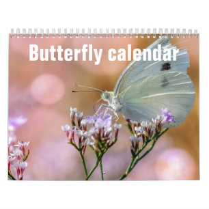 Butterflies 2023 calendar
