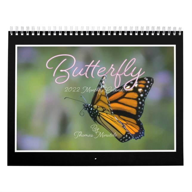 Butterflies 2023 Calendar By Tom Minutolo (Cover)
