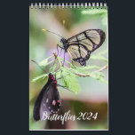 Butterflies 2024 calendar<br><div class="desc">This is a true butterflies through the years for me.  I hope you like it or gift it to someone.</div>