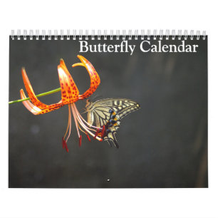 Butterflies 2027 calendar