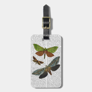 Butterflies 4 luggage tag