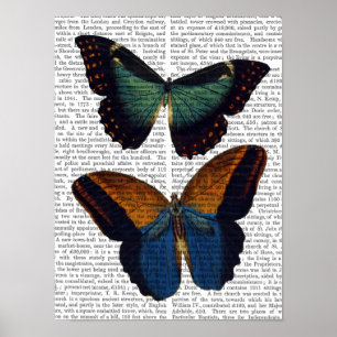Butterflies 5 poster