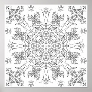 Butterflies and Blossoms Mandala Adult Colouring Poster