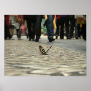 Butterflies and cobbled roads poster