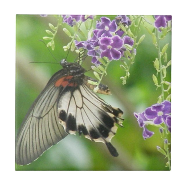 Butterflies and Flowers Tile (Front)