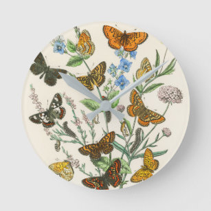 Butterflies and Flowers Vintage Illustration 1 Round Clock