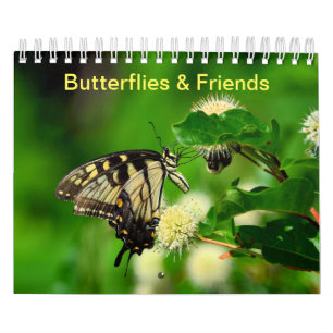 Butterflies and Friends Calendar