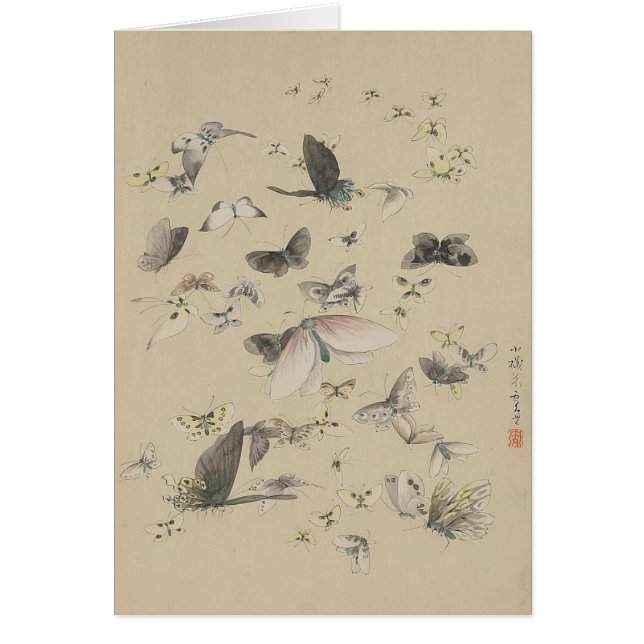 Butterflies and moths (Front)