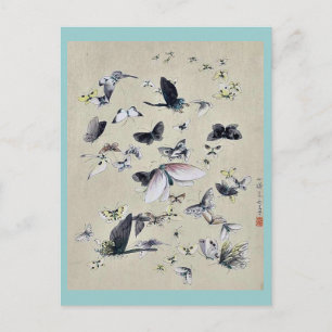 Butterflies and moths Ukiyoe Postcard