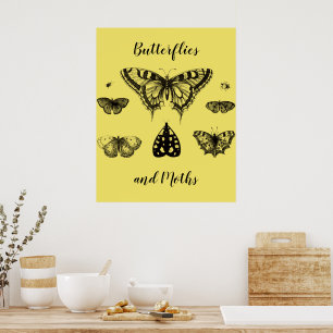 Butterflies and Moths Vintage Print