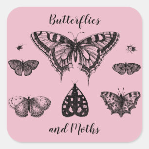 Butterflies and Moths Vintage Print Square Sticker