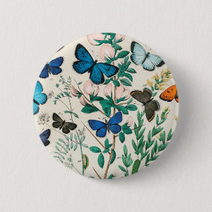 Butterflies And Moths William Forsell Kirby 1882 6 Cm Round Badge