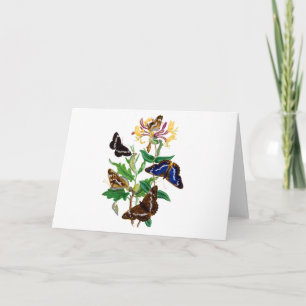 Butterflies and Red Honeysuckle Card