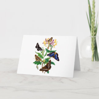 Butterflies and Red Honeysuckle Card