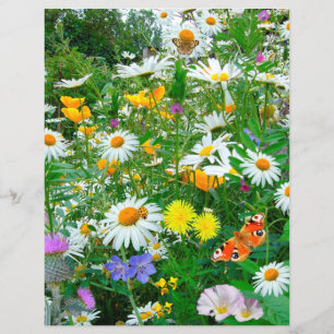 Butterflies and Wildflowers