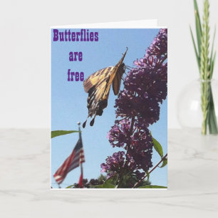 BUTTERFLIES ARE FREE/ON YOUR BIRTHDAY SO ARE "YOU" CARD