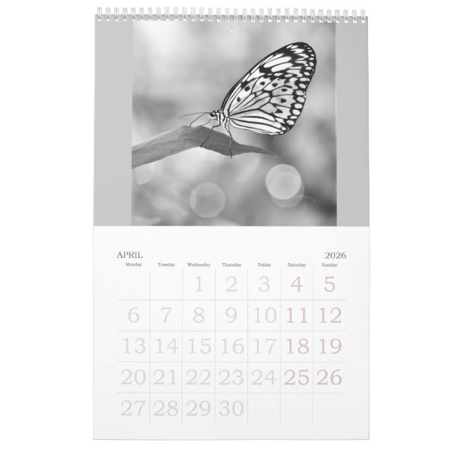 Butterflies are still free - a 2024 Calendar (Apr 2026)