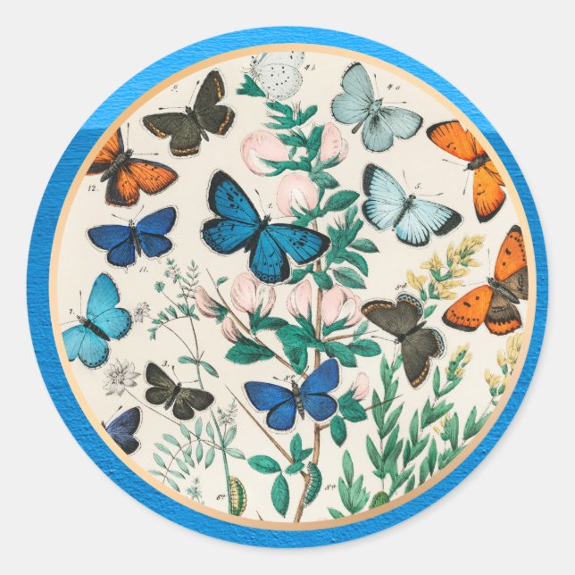 Butterflies, blue frame classic round sticker (Front)