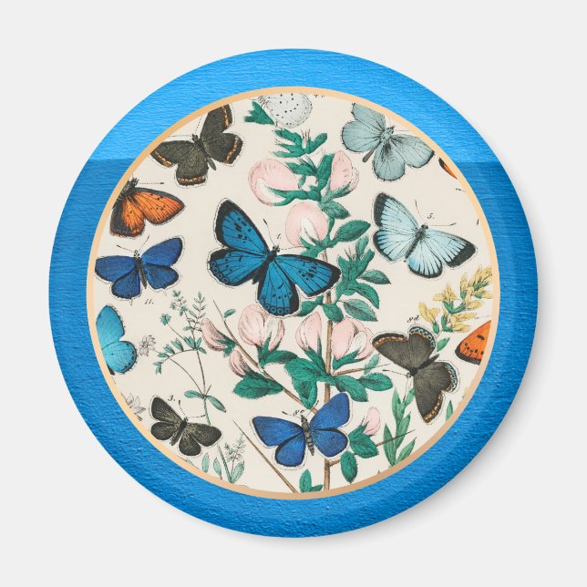 Butterflies, blue frame magnet (Front)