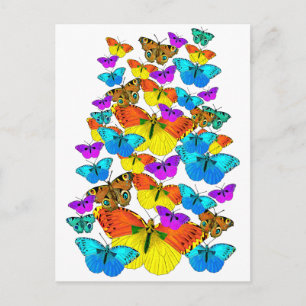 Butterflies! Butterflies!  Postcard