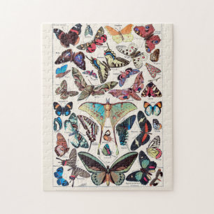 Butterflies by Adolphe Millot Jigsaw Puzzle