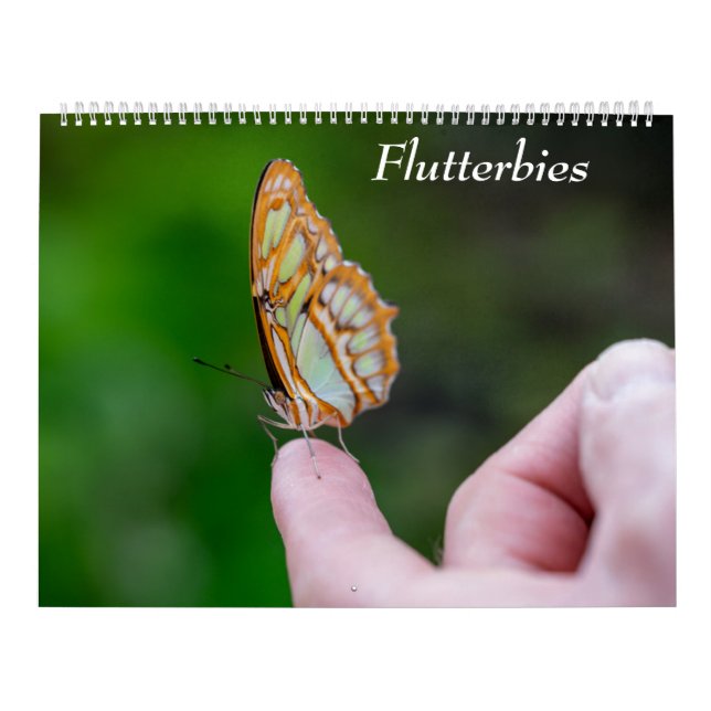 Butterflies Calendar (Cover)