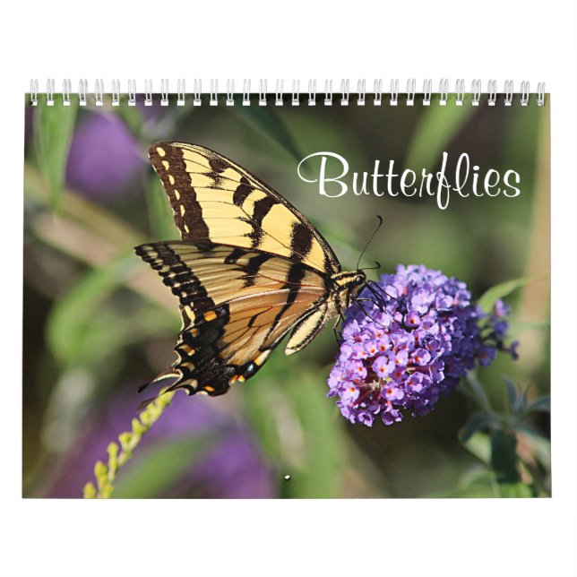 Butterflies Calendar (Cover)