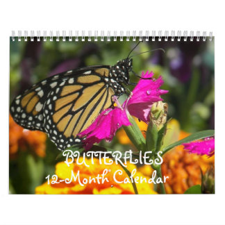 Butterflies calendar