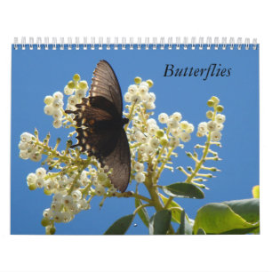 Butterflies calendar