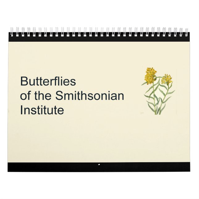 Butterflies Calendar (Cover)