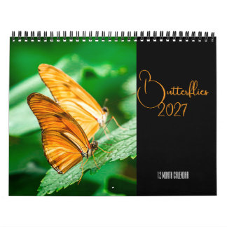 Butterflies Calendar 2027