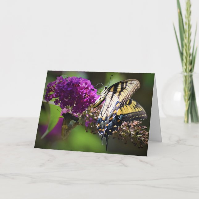 Butterflies, card (Front)