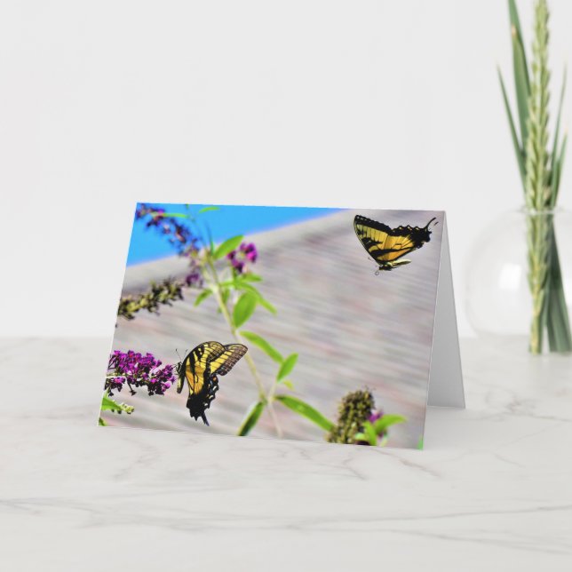 Butterflies, card (Front)