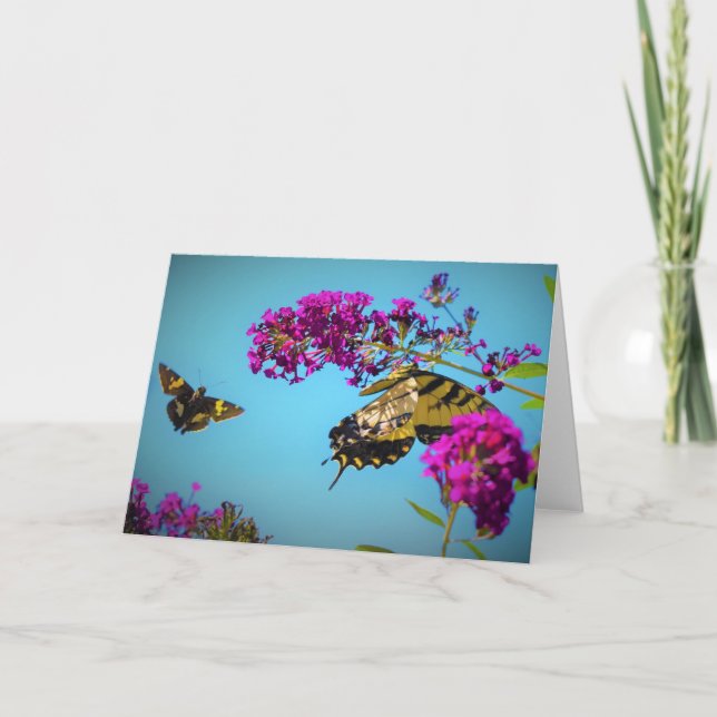 Butterflies, card (Front)