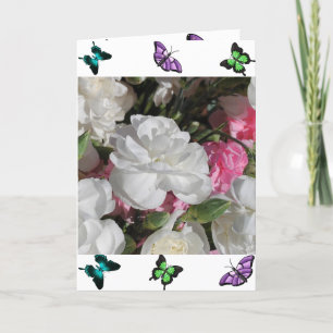 Butterflies Card