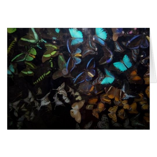 Butterflies Card