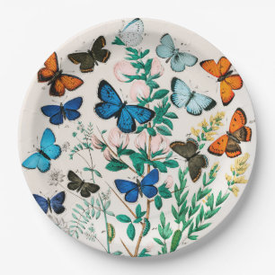 Butterflies, Caterpillars by William Forsell Kirby Paper Plate