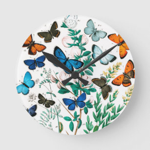 Butterflies, Caterpillars by William Forsell Kirby Round Clock