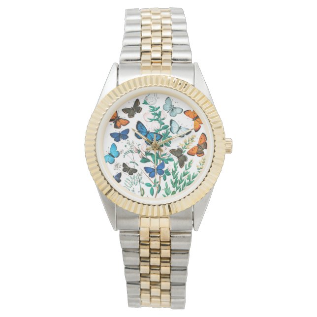 Butterflies, Caterpillars by William Forsell Kirby Watch (Front)