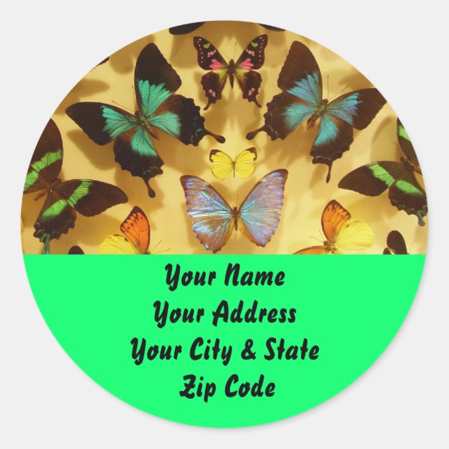 Butterflies Classic Round Sticker (Front)
