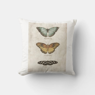 Butterflies collection cushion
